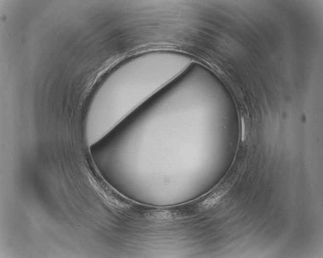 X0000054440253200507290933