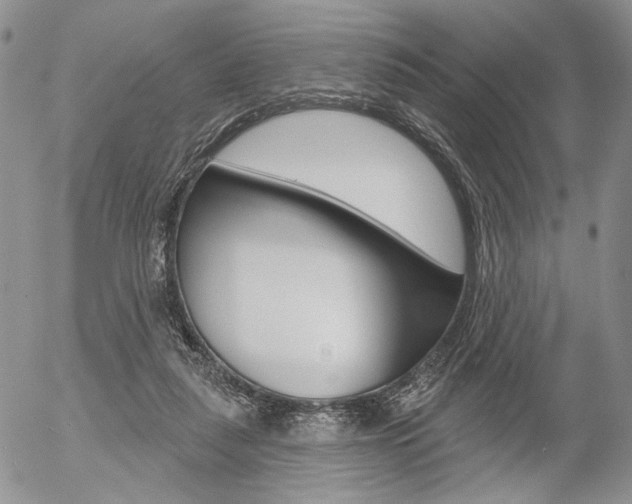 X0000054440259200507290933