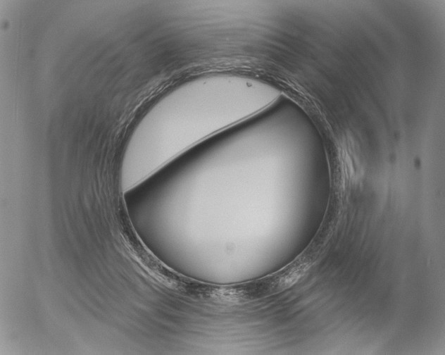 X0000054440261200507290933