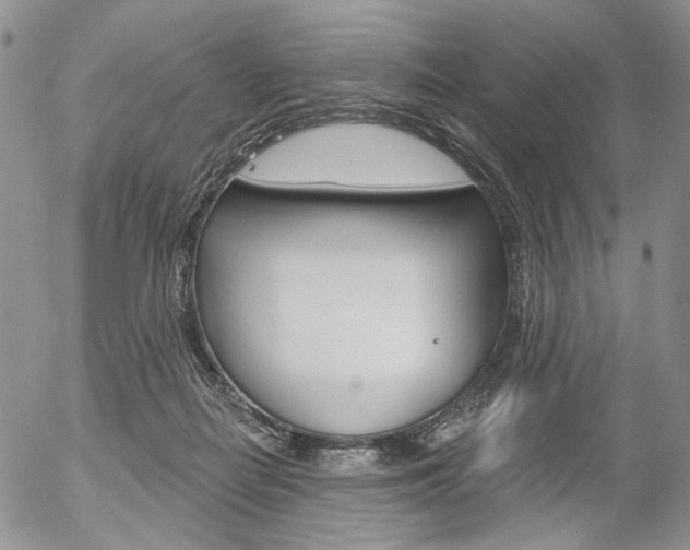 X0000054440266200507290933