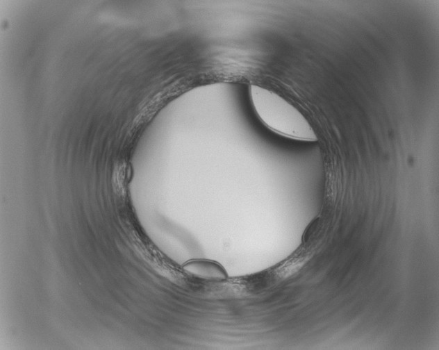 X0000054440286200507290934