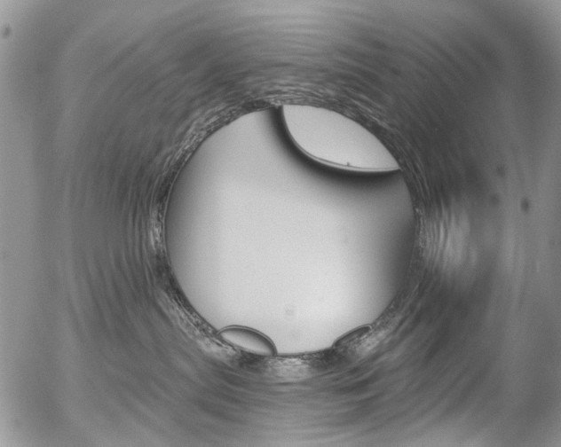 X0000054440287200507290934