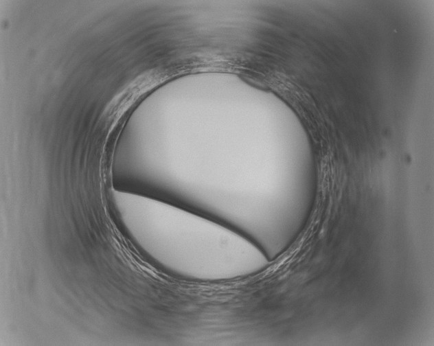 X0000054440290200507290933