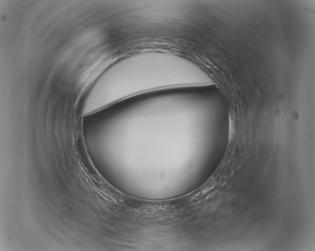 X0000054440291200507290933