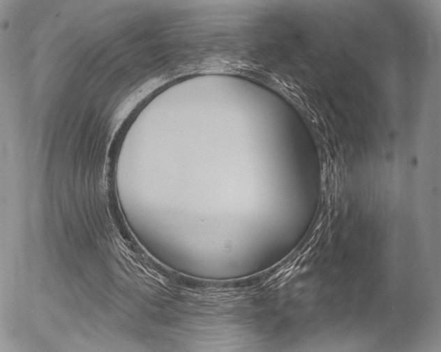 X0000054440292200507290933