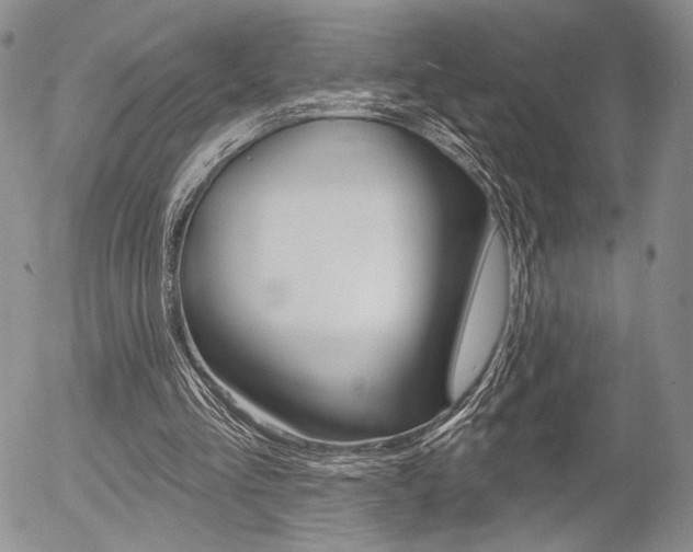X0000054440293200507290933