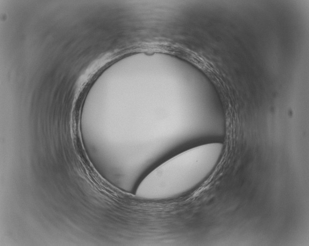X0000054440294200507290933