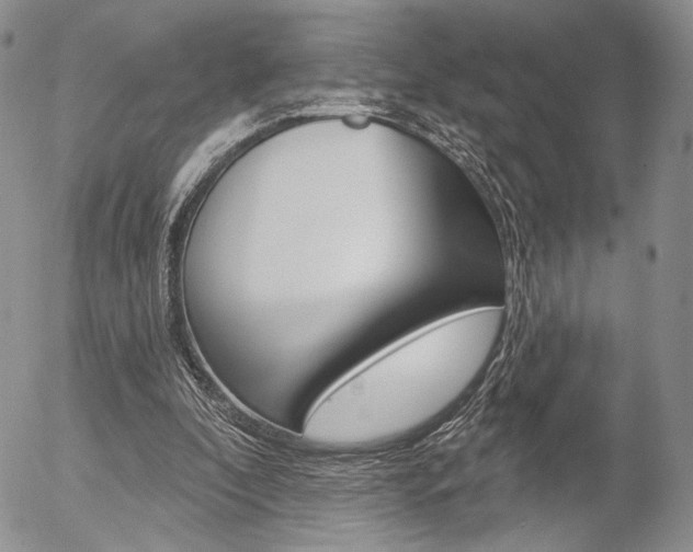X0000054440296200507290933