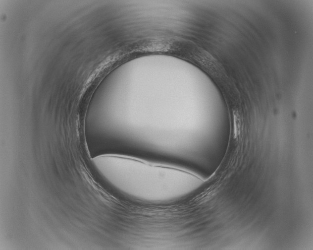 X0000054440300200507290933