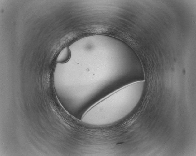 X0000054440304200507290933