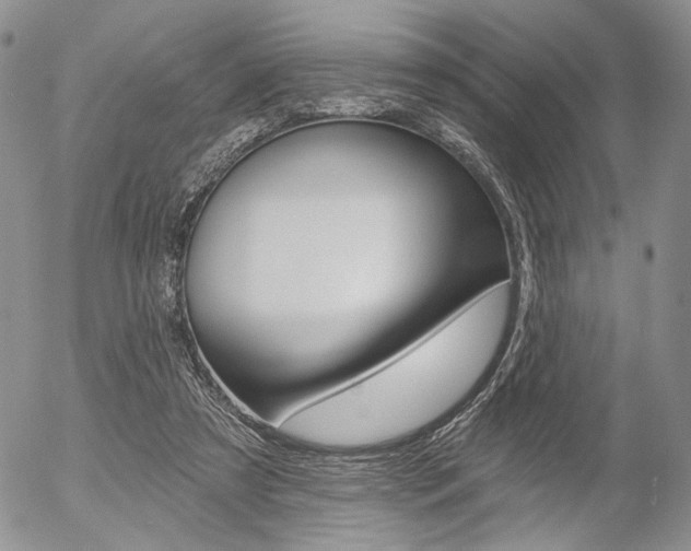X0000054440305200507290933
