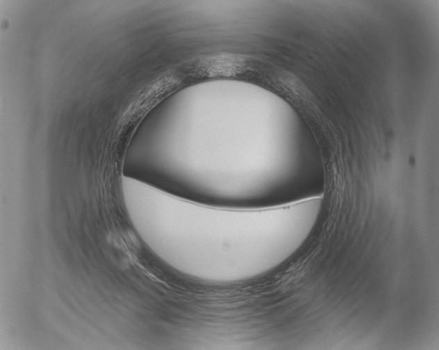 X0000054440311200507290933