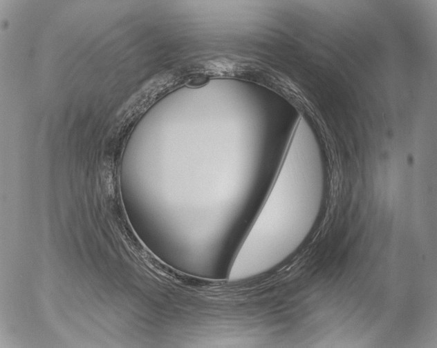 X0000054440313200507290933