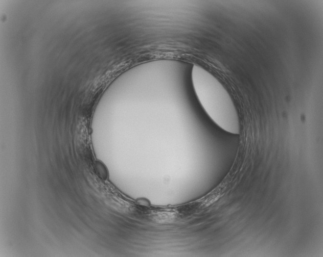 X0000054440318200507290933