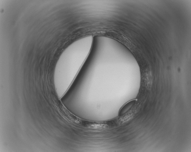 X0000054440323200507290932