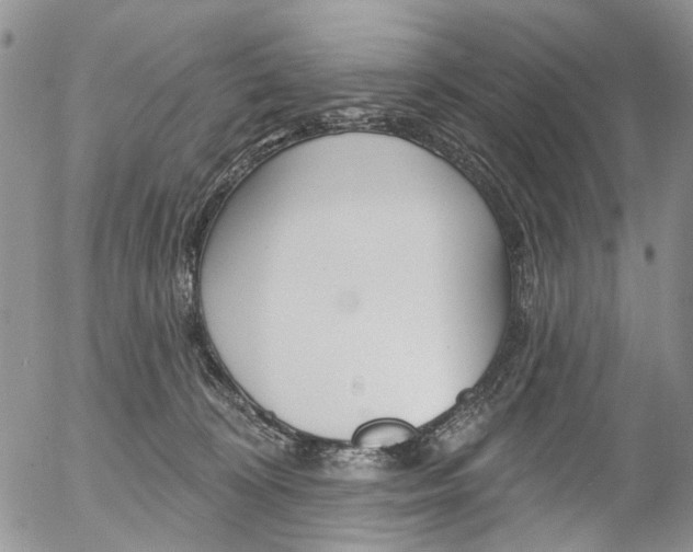 X0000054440324200507290932