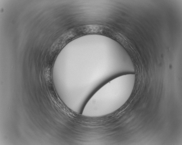 X0000054440326200507290932