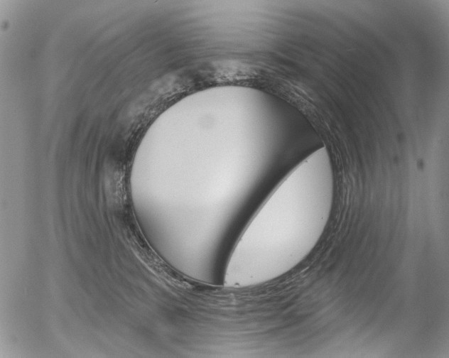 X0000054440327200507290932