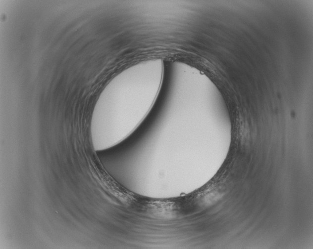 X0000054440328200507290932