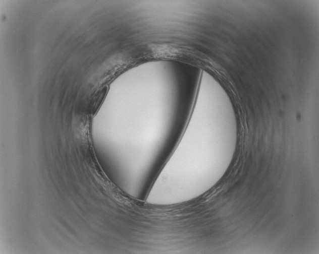 X0000054440329200507290932