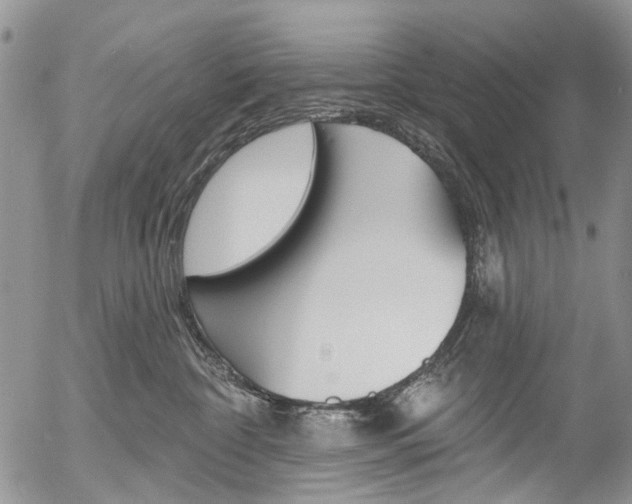 X0000054440332200507290932