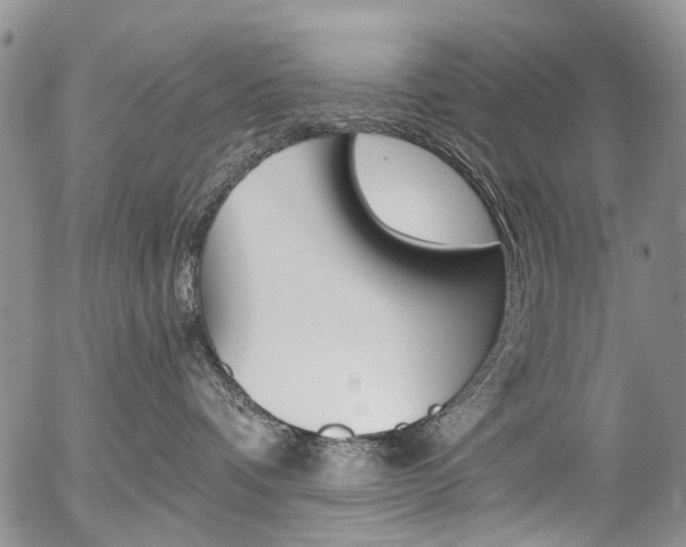 X0000054440336200507290932