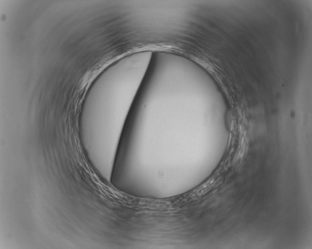 X0000054440337200507290932