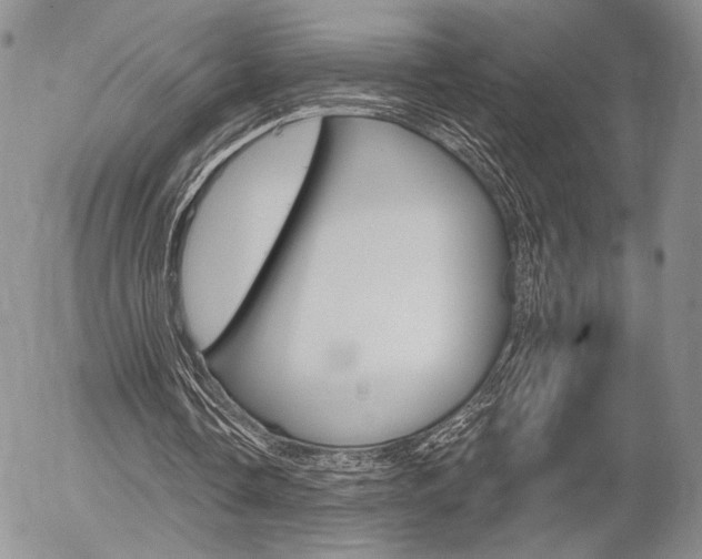 X0000054440338200507290932