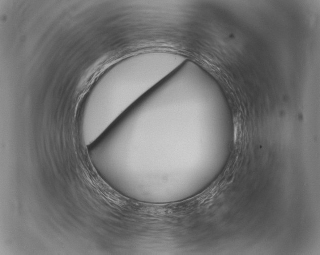 X0000054440339200507290932