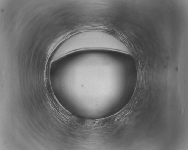 X0000054440340200507290932