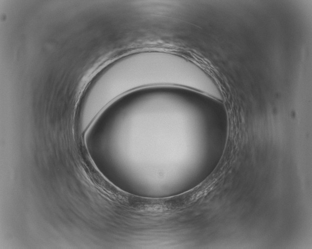 X0000054440344200507290932