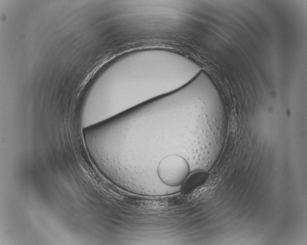 X0000054440347200507290932