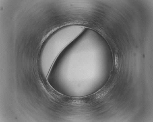 X0000054440348200507290932