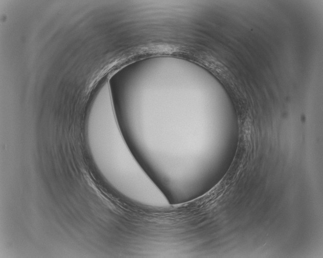 X0000054440352200507290932