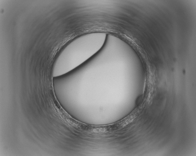 X0000054440353200507290932