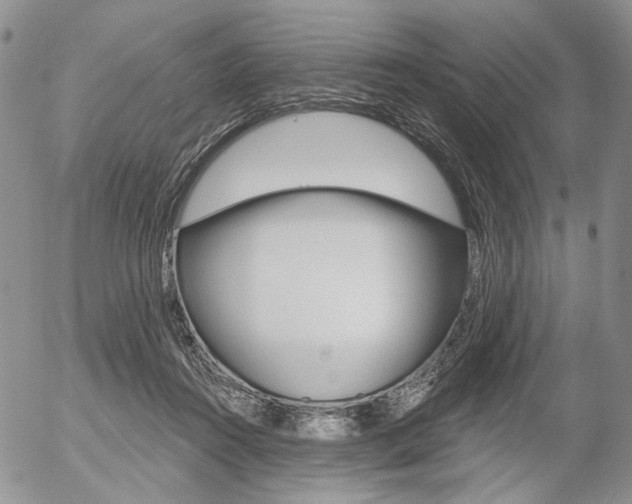 X0000054440360200507290932