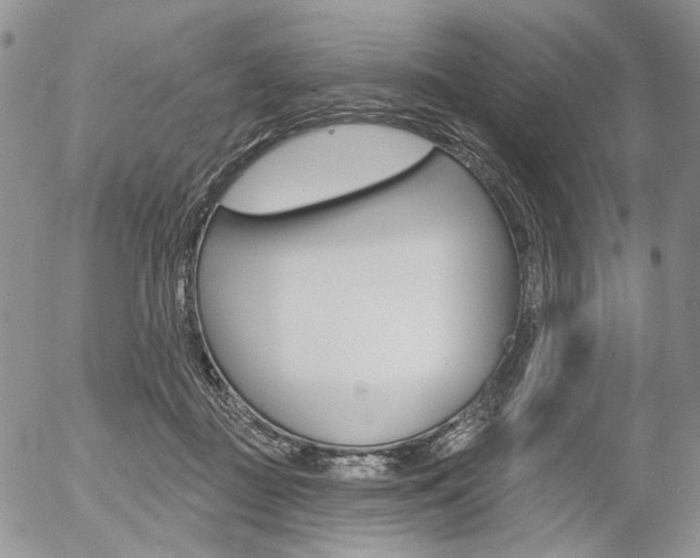 X0000054440363200507290932