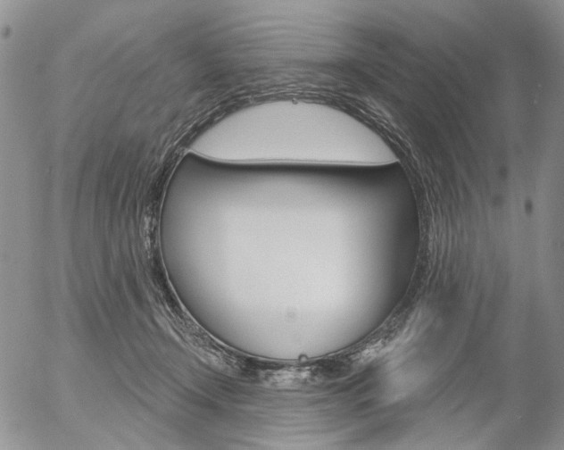 X0000054440366200507290932