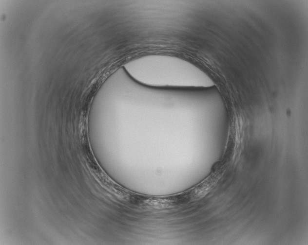 X0000054440367200507290932