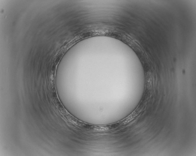 X0000054440369200507290932