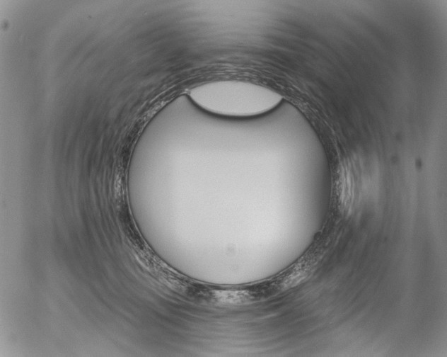 X0000054440371200507290932