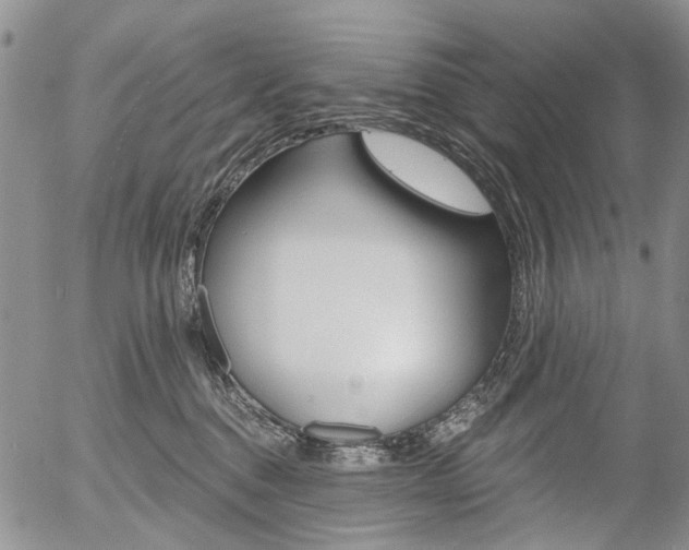 X0000054440376200507290932