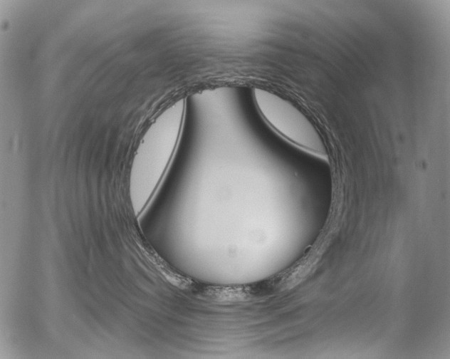 X0000054440384200507290932