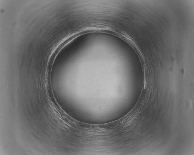 X0000054440387200507290931