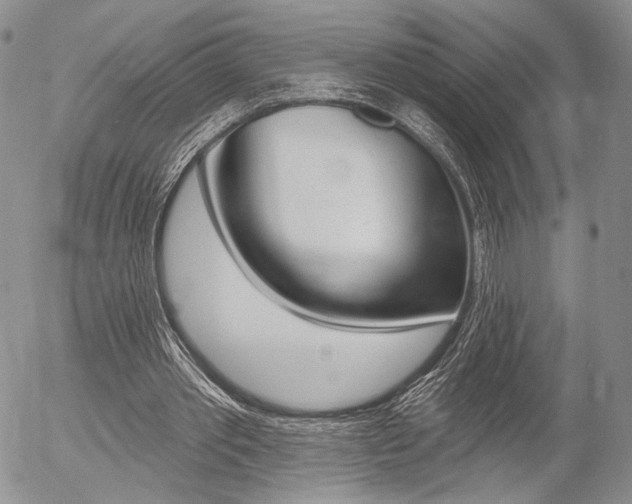 X0000054440389200507290931