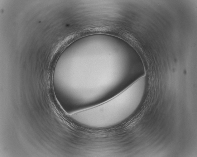 X0000054440395200507290931