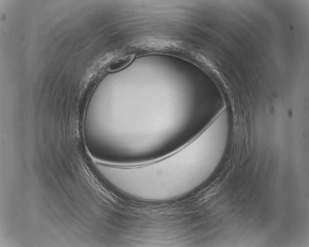 X0000054440399200507290931