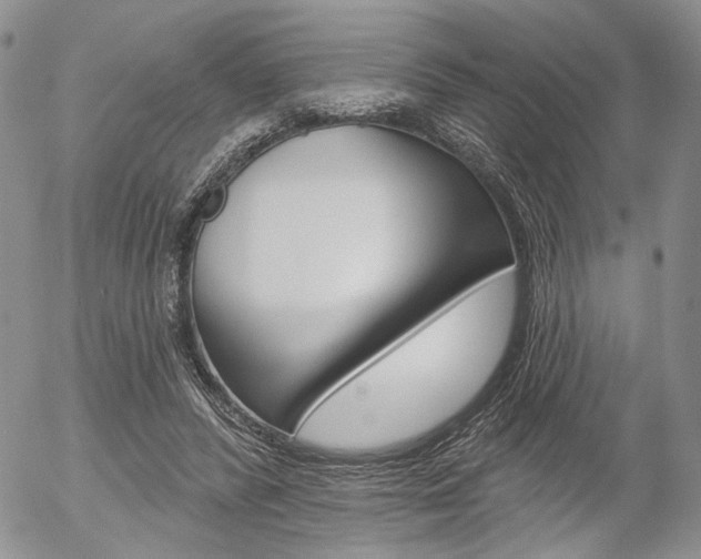 X0000054440400200507290931