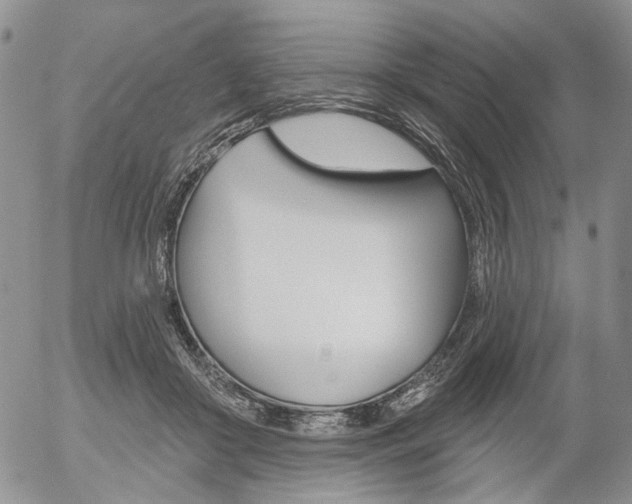 X0000054440410200507290931