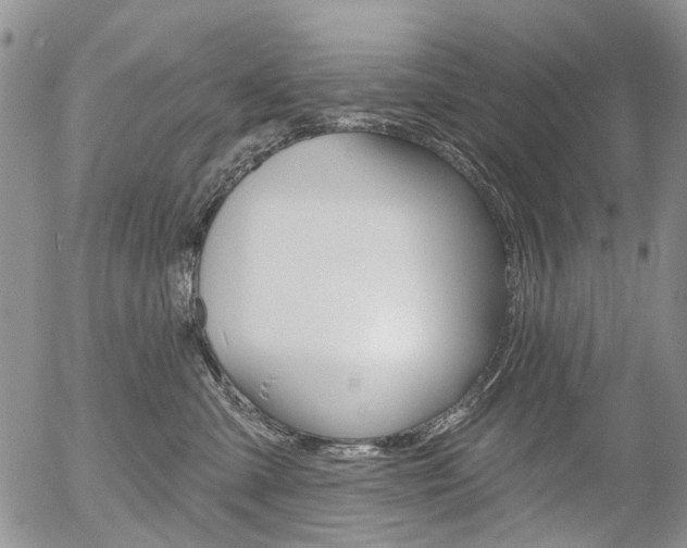 X0000054440427200507290931
